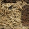 24. calcaire coquiller utilisé pour la muraille [photo JPV]
